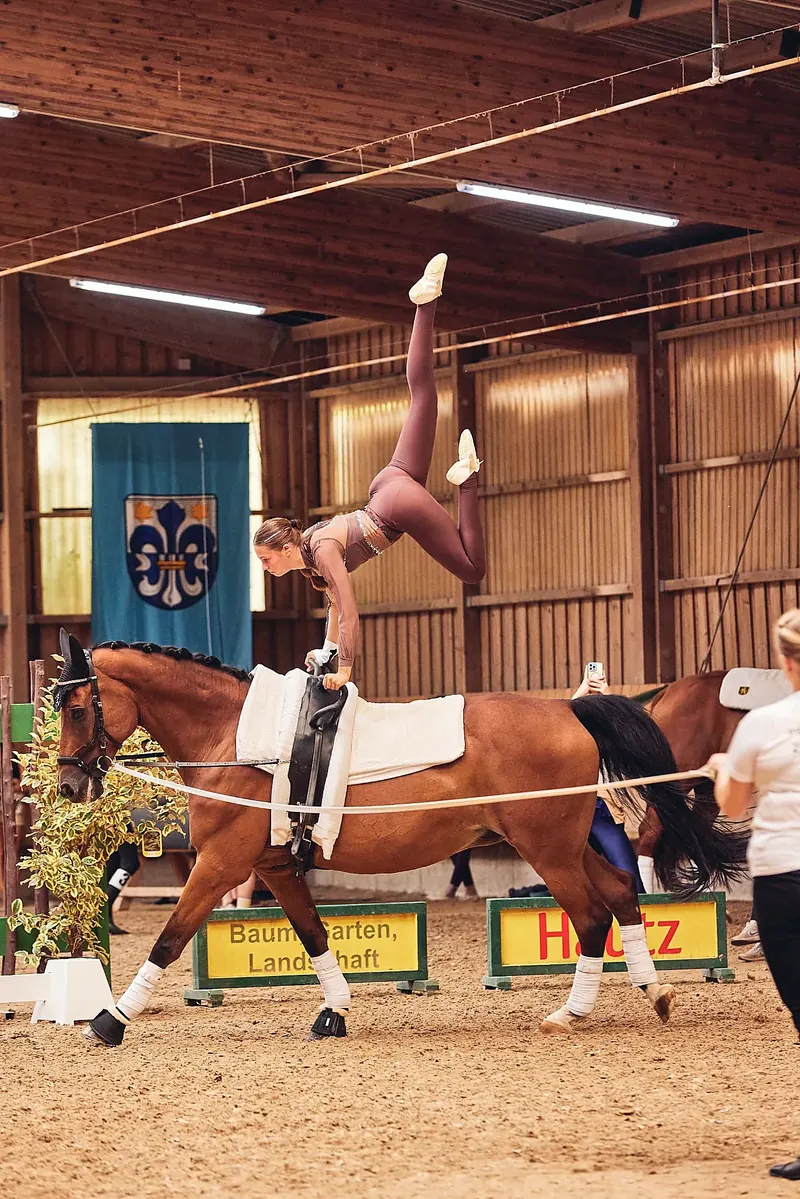 Einzelvoltigiererin im Handstand auf dem Fuchs